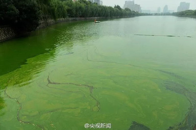 珍愛(ài)生命之水 聚焦水污染與治理，守護(hù)藍(lán)色家園