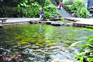 2017年廣州市兩會 水務局預算劍指水污染治理，高效著力環保技術開發服務