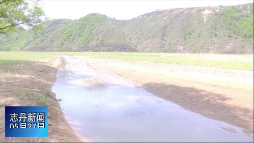 市人大調研組深入我縣調研延河流域水污染防治工作 助力環保技術開發服務