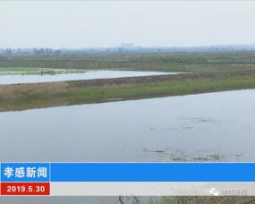 我市穩步推進水污染防治工作 綜合治理見實效