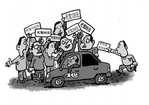 冬日寒夜里的守望者 代駕司機的堅守與行業(yè)暖意